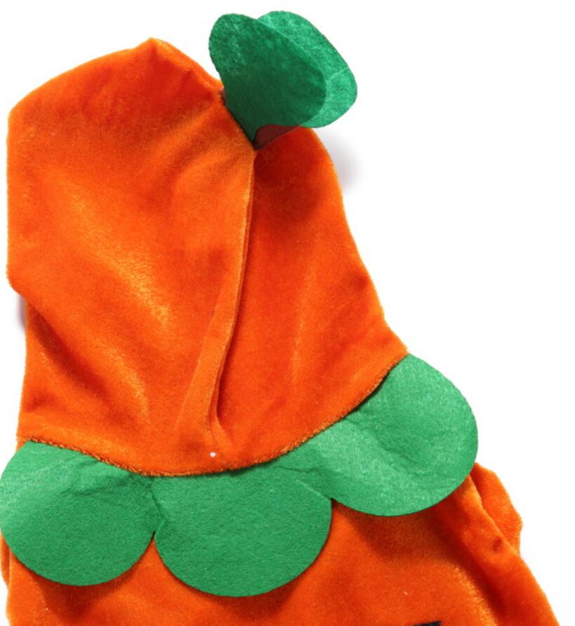 Unique Dog Spider Costume