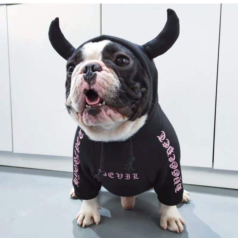English cattle and dog clothes