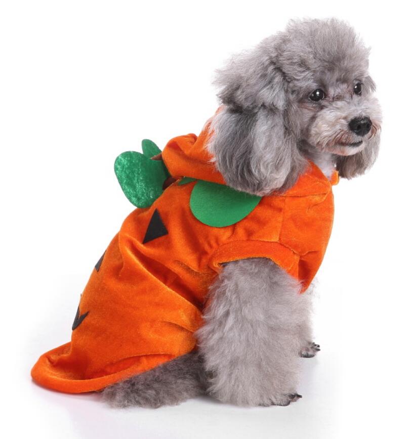 Unique Dog Spider Costume