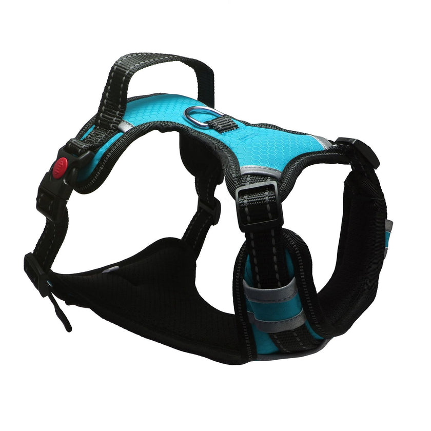 Explosion-proof Medium And Large Dog Pet Chest And Back Traction