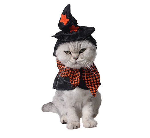 Funny Little Cats Clothing Dogs Clothes Halloween Witch For Dress Animal Cat Costume Products Clothing Cat Vestito Cane