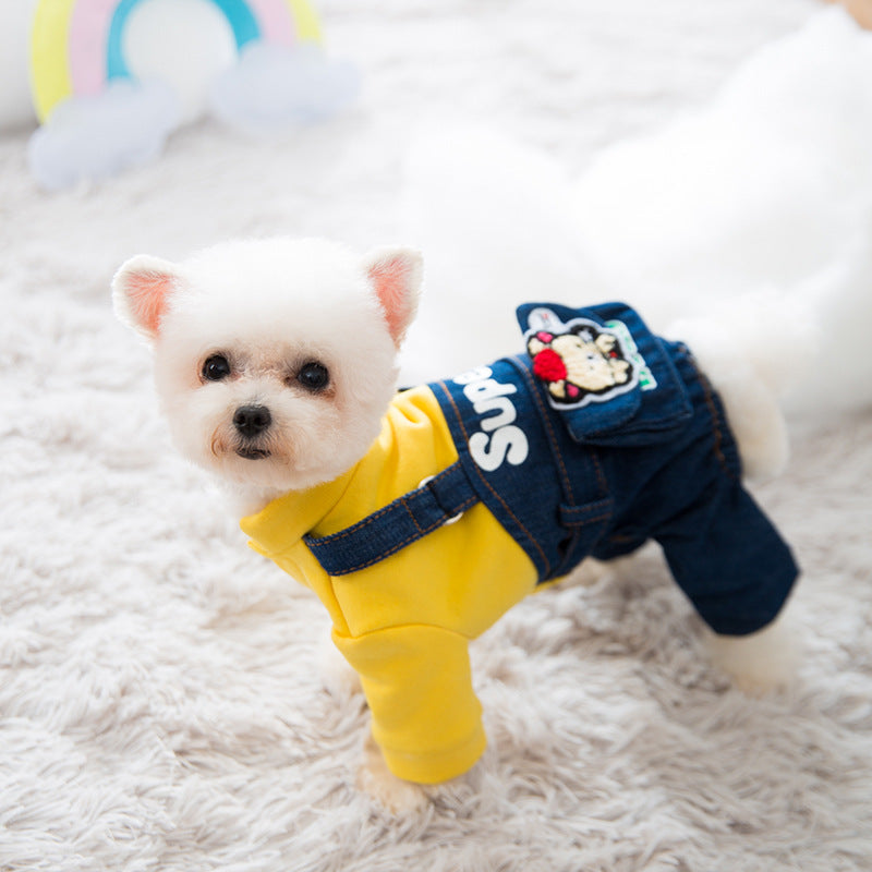Winter dog coat