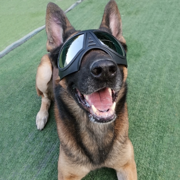 Dog Glasses Waterproof Snow-Proof  Sunglasses