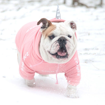 English cattle and dog clothes