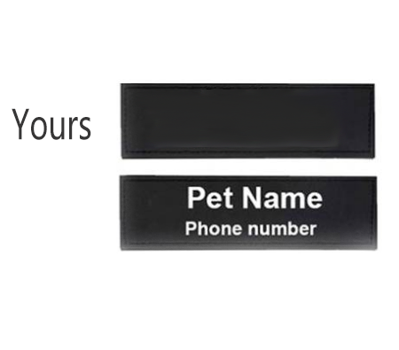 Personalized Harness