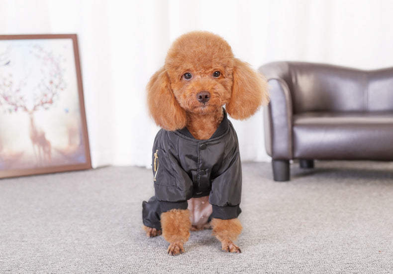 Puppy dog clothes, four corners, autumn clothes