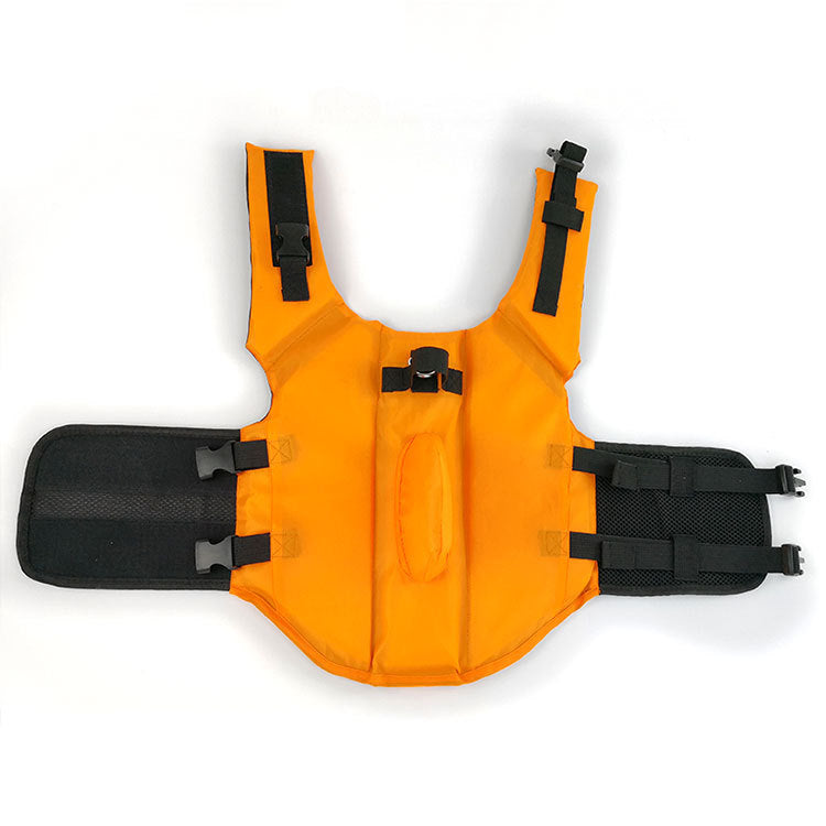 Large and small dog tide brand pet swimsuit