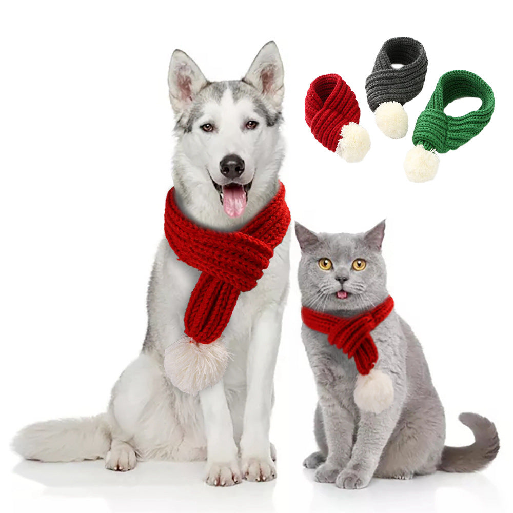 Pet gift and warm wool scarf