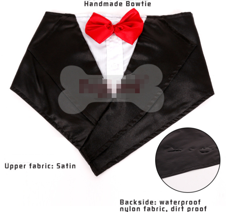 Ddog golden hair ancient animal handsome pet scarf