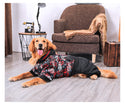 Large dog clothing
