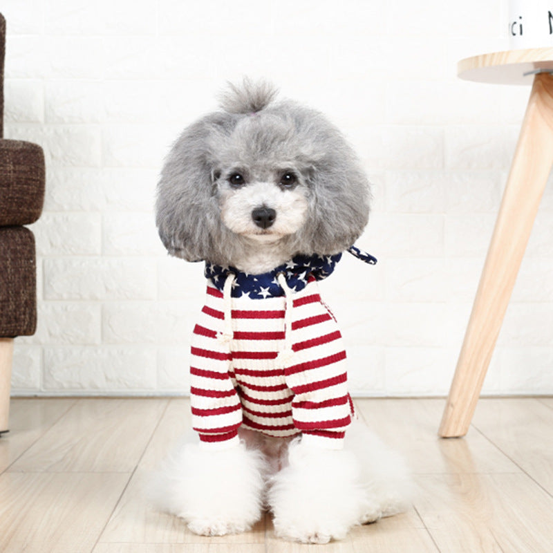 Small dog two-legged cat costume