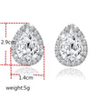 Ladies crystal drop earrings
