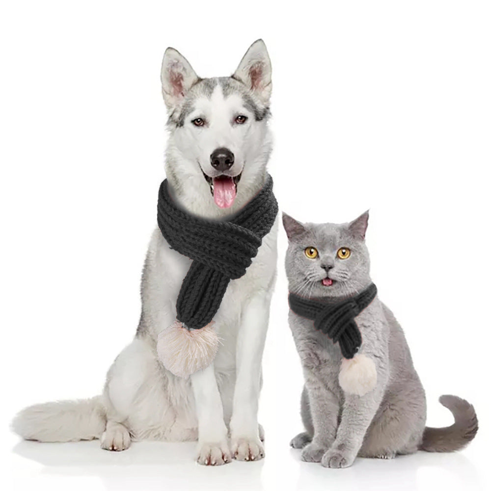 Pet gift and warm wool scarf
