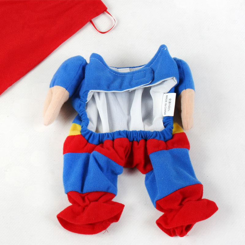 Dog clothes dog clothes transformation