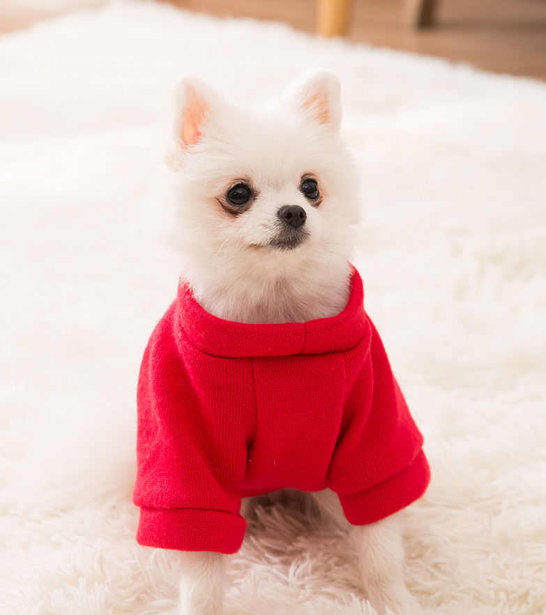 Christmas pet clothes