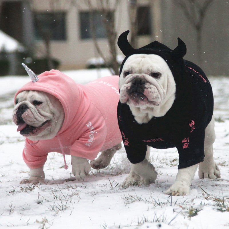English cattle and dog clothes