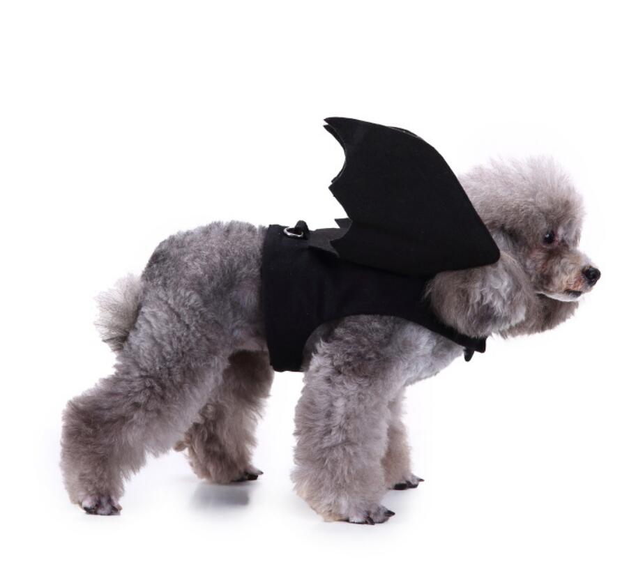 Unique Dog Spider Costume