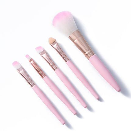 Beginner makeup brush