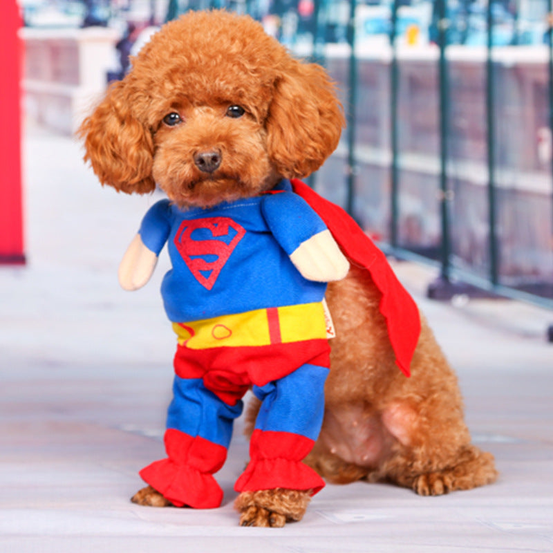 Dog clothes dog clothes transformation