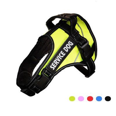 Personalized Harness