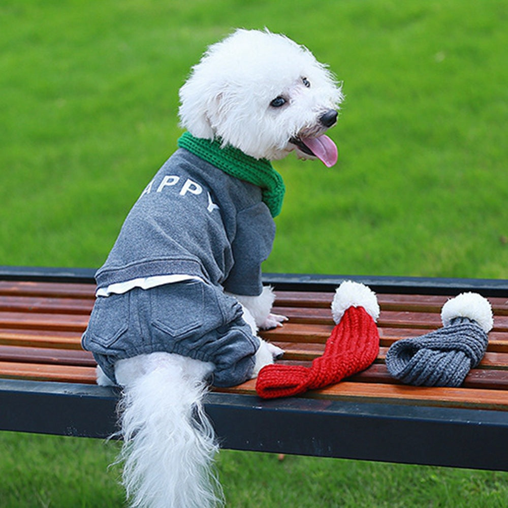 Pet gift and warm wool scarf