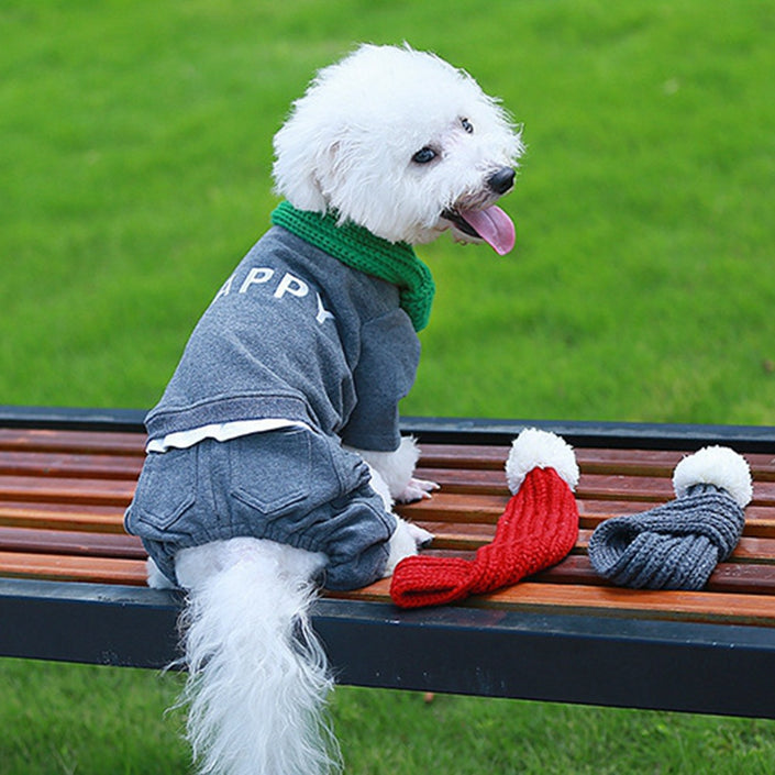 Pet gift and warm wool scarf