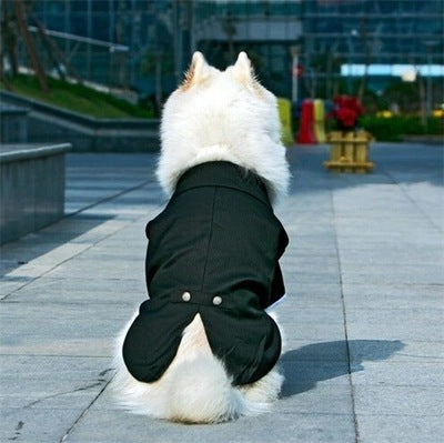 Golden Retriever Large Dog Pet Clothing