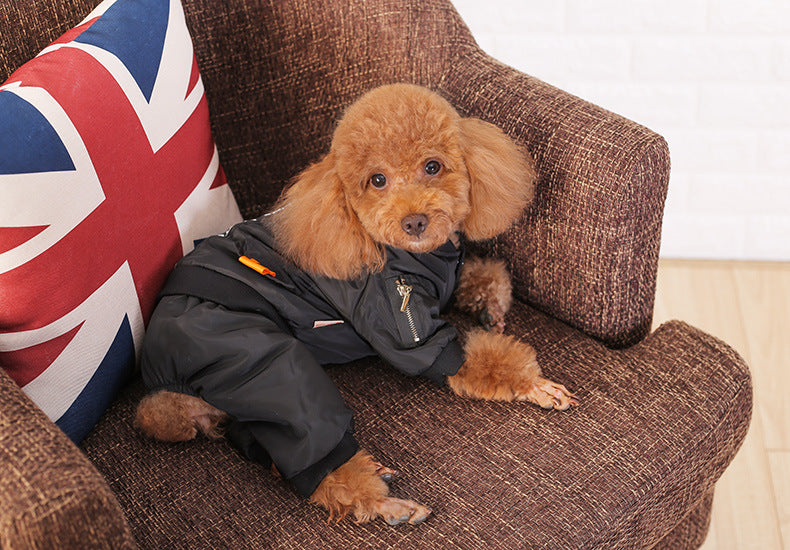 Puppy dog clothes, four corners, autumn clothes