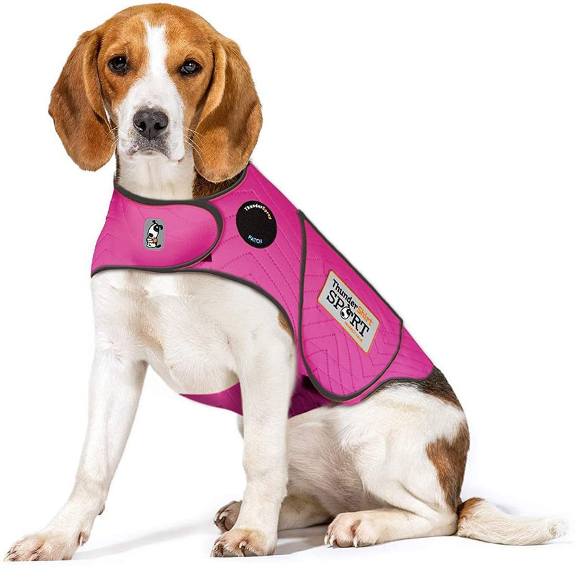 Anxiety Jacket For Pet Dog Comforting Clothes