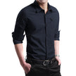 Spring Men's Shirts, Long Sleeves, Pure Cotton, Oxford Spun Shirts, Young Men's Business, Inch Inch Shirts, Korean Style