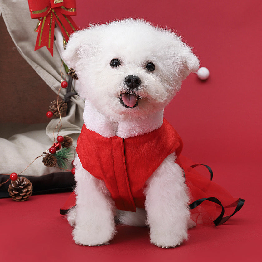 Alpscommerce Small Dog cute Clothes Thickened Dog dress up