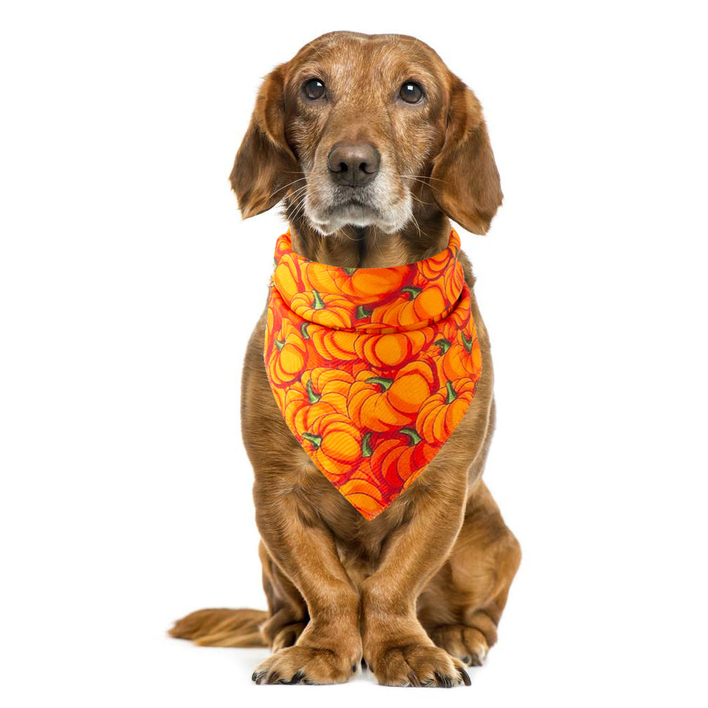 Alpscommerce pet saliva towel