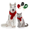 Pet gift and warm wool scarf