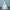 wedding dress Alpscommerce  new slender tail neat factory direct sales