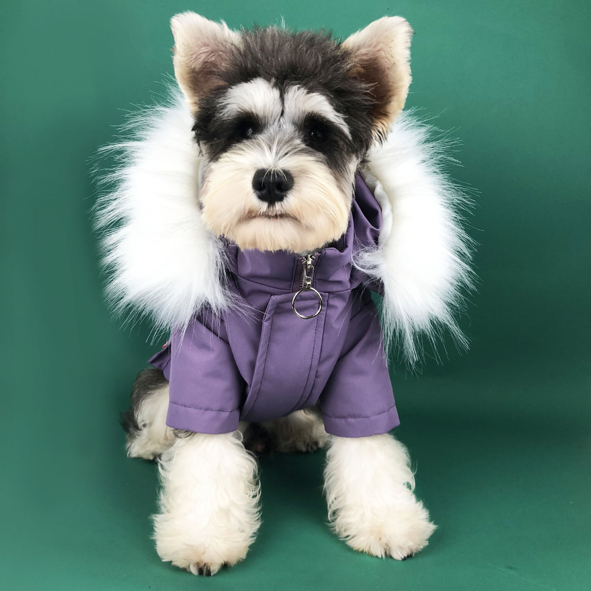 Winter French and Pugs Puppies Clothes Warm Coats