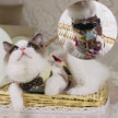 Rope Cat Traction Cat Chest Strap Set Bow