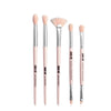 Makeup brush set