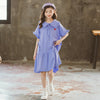 Big Kids Summer Girl Cotton Skirt Princess Dress