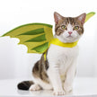 Alpscommerce cat  Pet Dinosaur Wings Makeover