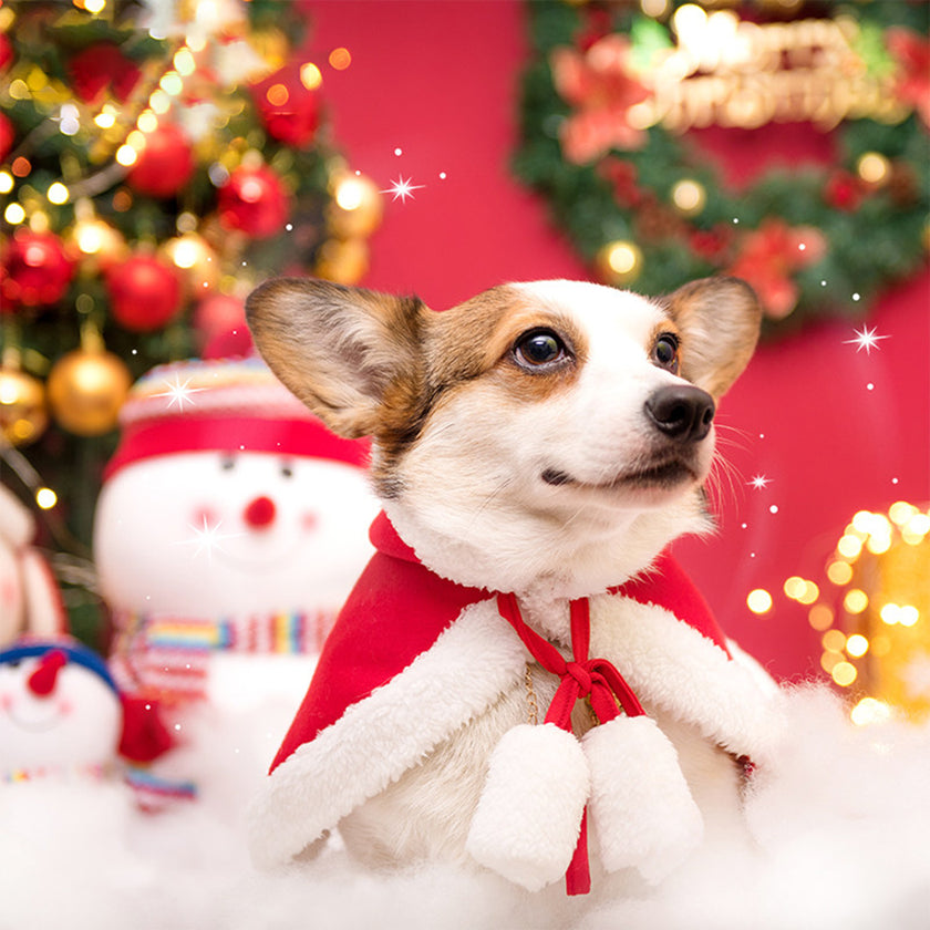 Pet New Year Festive Clothes Dog Cat Christmas Day Cloak