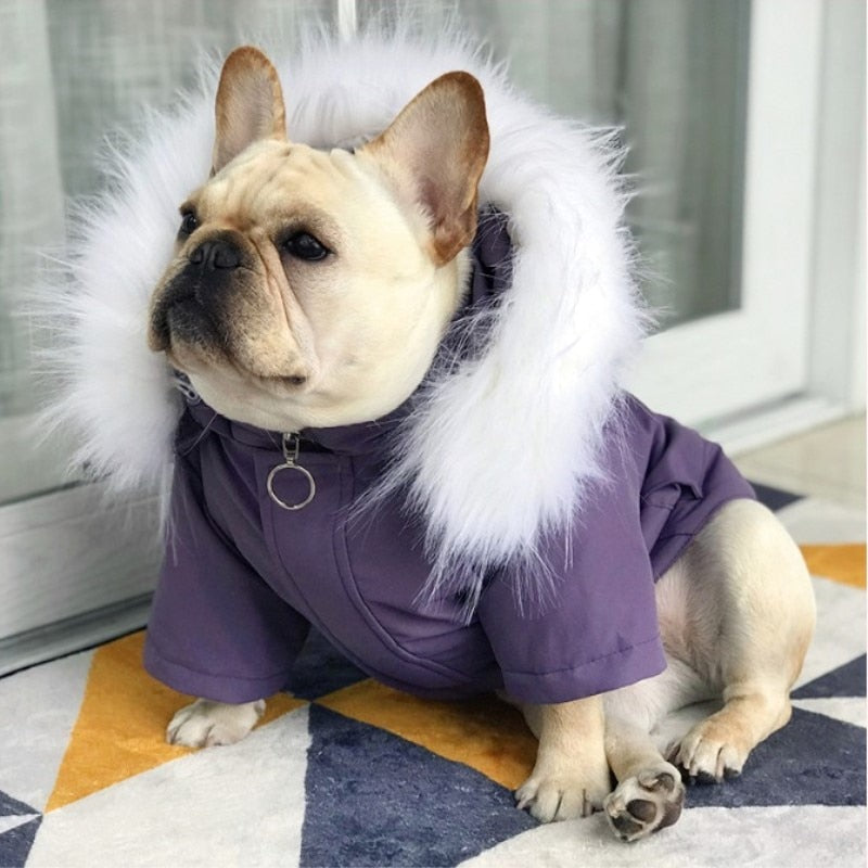 Winter French and Pugs Puppies Clothes Warm Coats