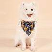 Alpscommerce Double-sided Saliva Towel Pet Accessories