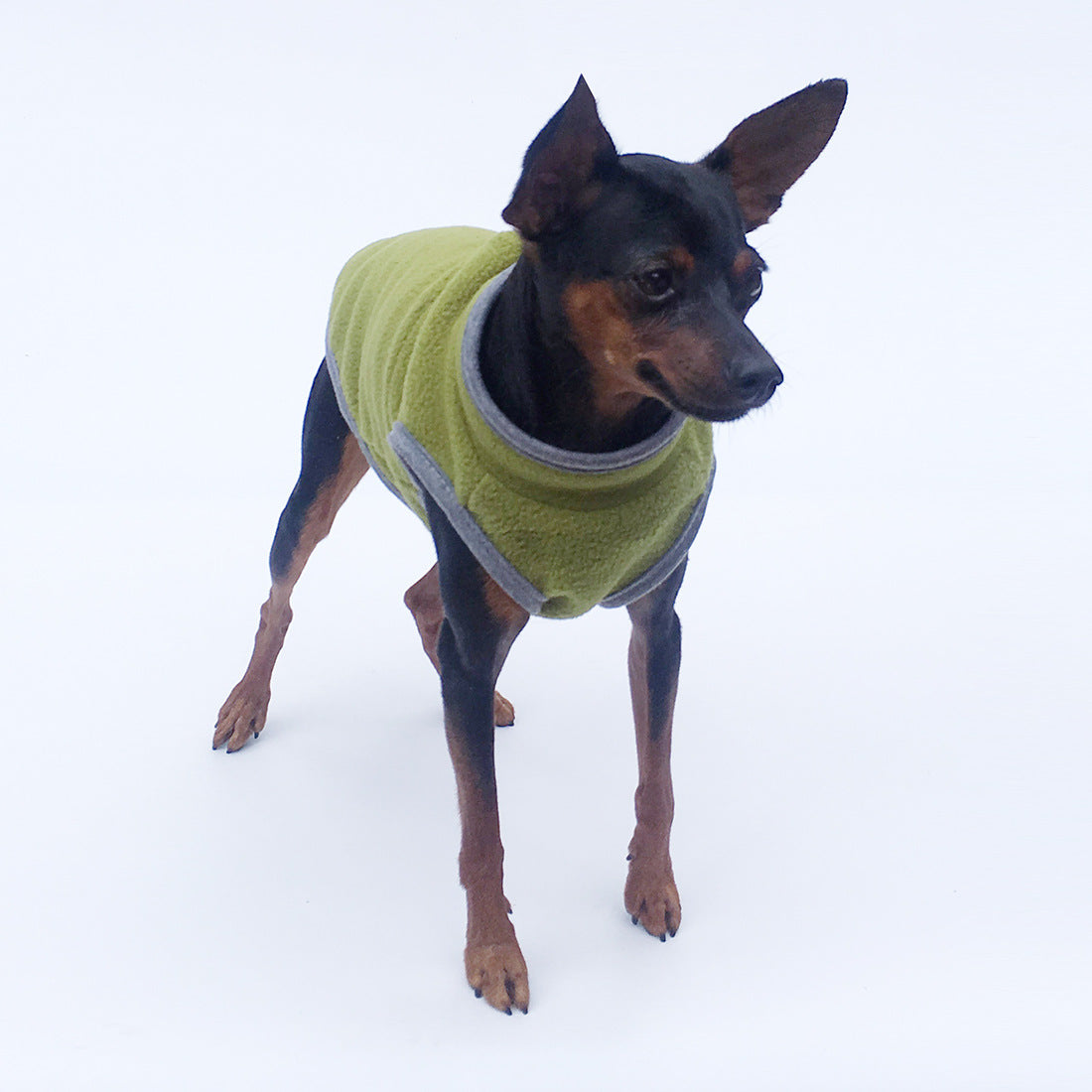 Pet Clothes Dog Clothing Polar Fleece