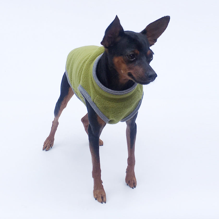 Pet Clothes Dog Clothing Polar Fleece