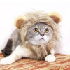 Funny Pet Hat For Small Dogs Cats Hat Emulation Lion Hair Costume