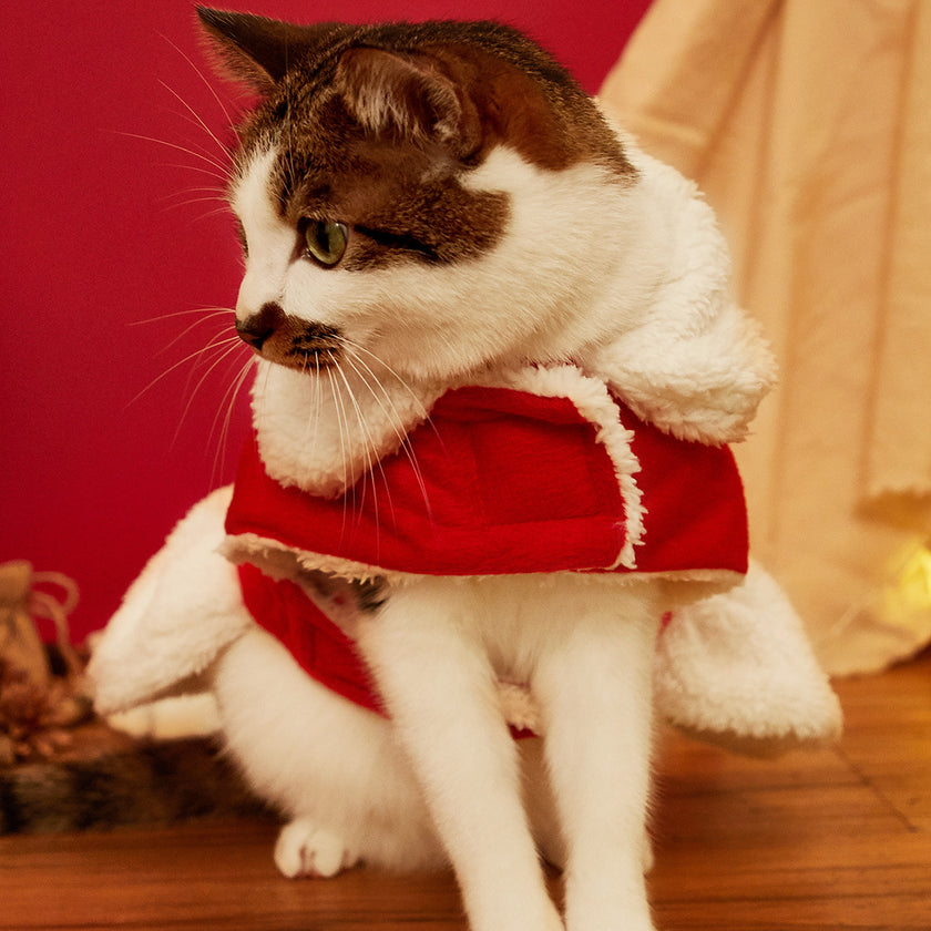 Alpscommerce Small Dog cute Clothes Thickened Dog dress up