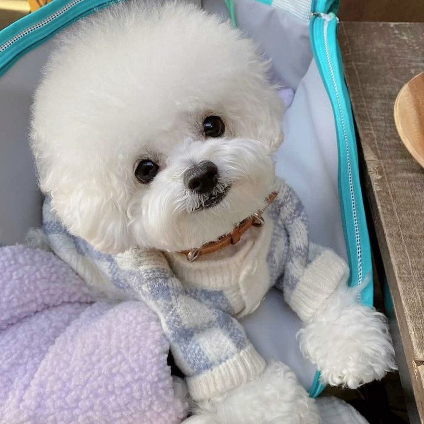 Blue Grid Cardigan Sweater Pet