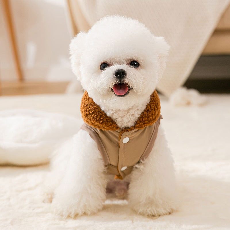 Small Dog Pet Cat Autumn &Winter Pet Cute Costume Dog Cloth Coat