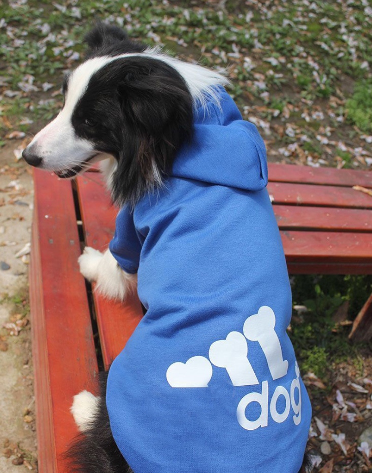 Dog Pet Clothes France Bulldogs Dog Hoodie Small Medium Large Chihuahua Sweatshirt Puppy Clothes Costume