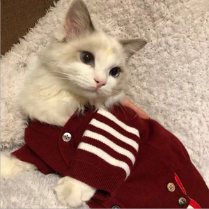 Cat pet clothes